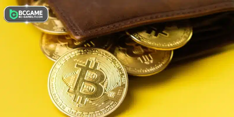 Detailed instructions on the process of how to send bitcoin