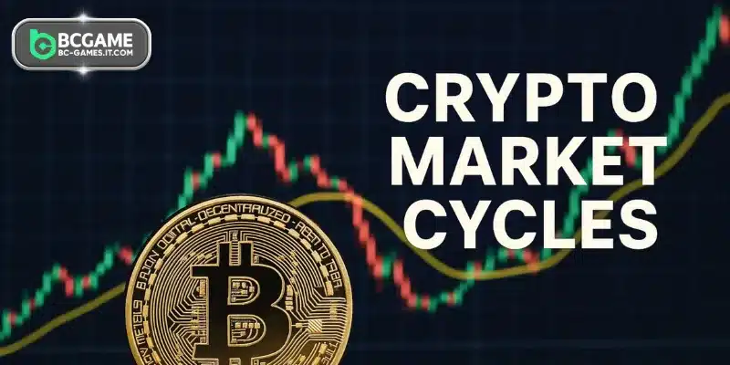 Learn about the fluctuation stages of crypto market cycles