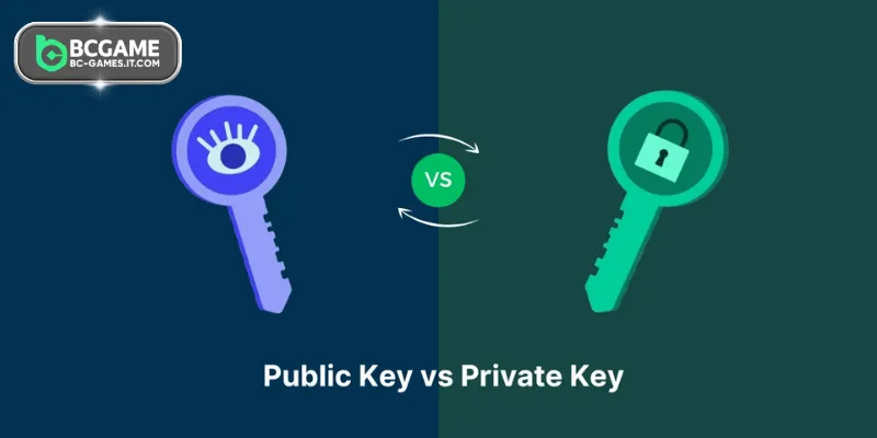 Operation of public key vs private key explained