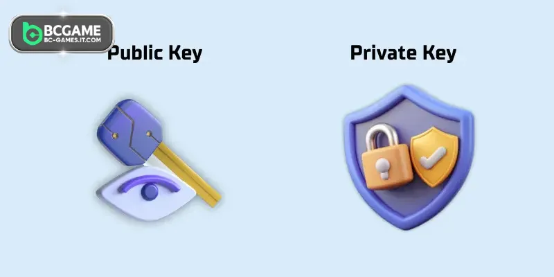Process of verifying secure transaction information
