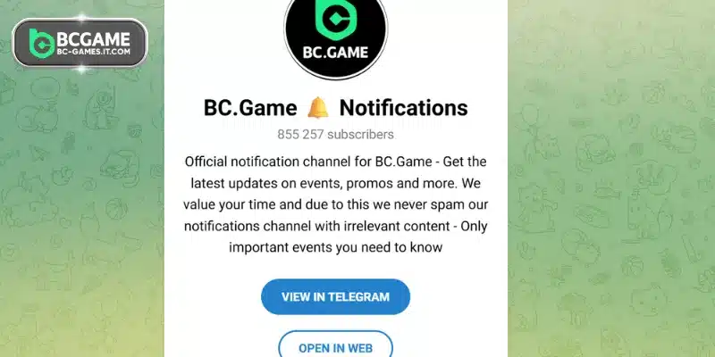 Professional contact us system supports players best