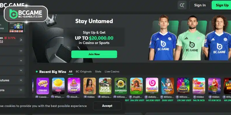 The formation and growth of BC GAME