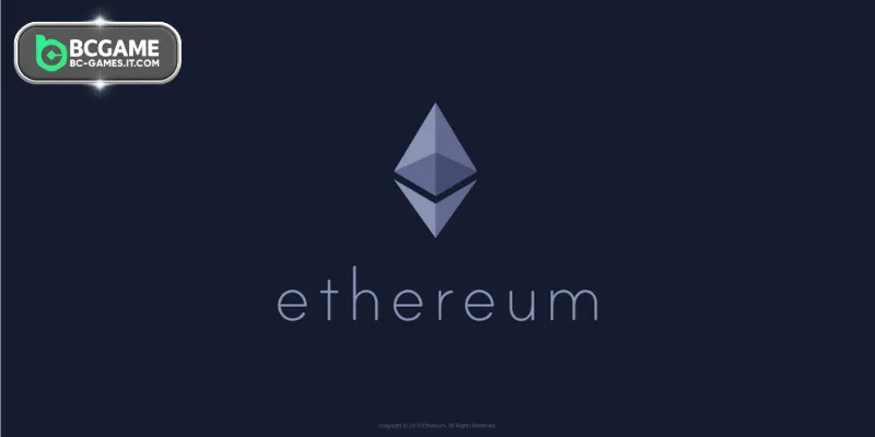 The operational mechanism of the virtual machine system